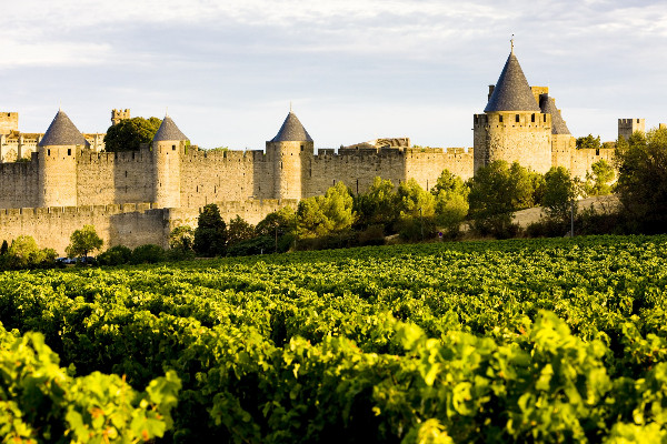 Languedoc Vineyard