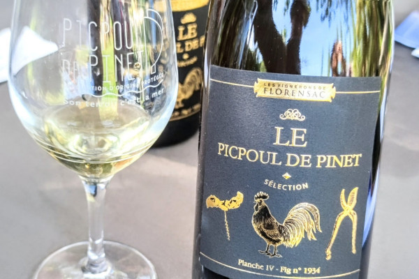 Picpoul Patience