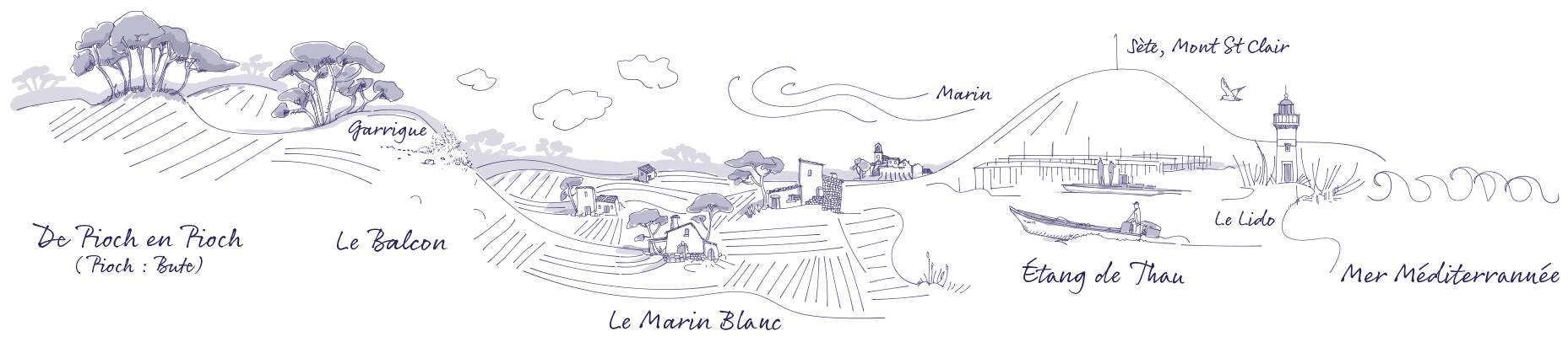 Picpoul Linear Map